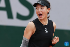 China's Wang out in women's singles first round of French Open