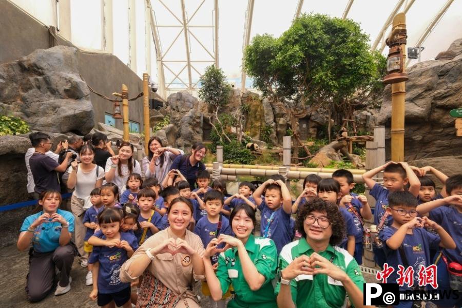 Hong Kong-born giant panda twins named Jia Jia, De De