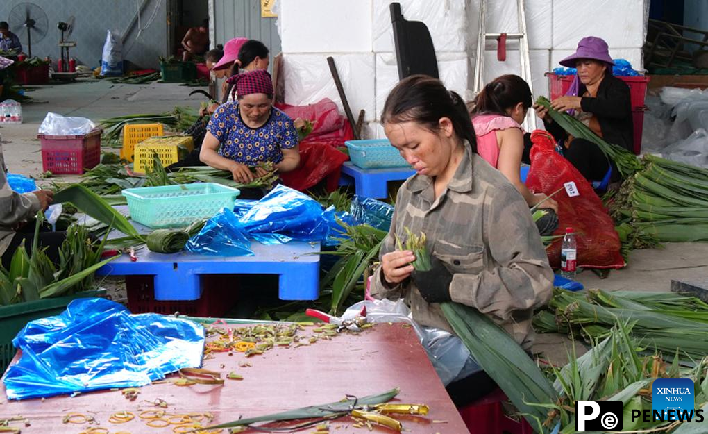 Fresh Vietnamese leaves add color to traditional Chinese festival