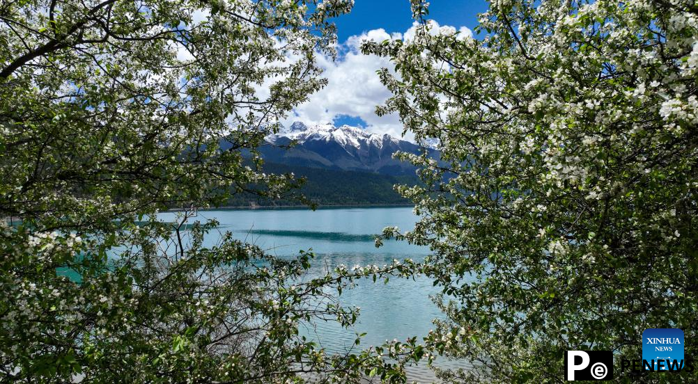 Scenery of Basum Tso in Xizang, SW China