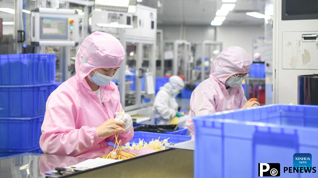 A glimpse of Hainan Free Trade Port
