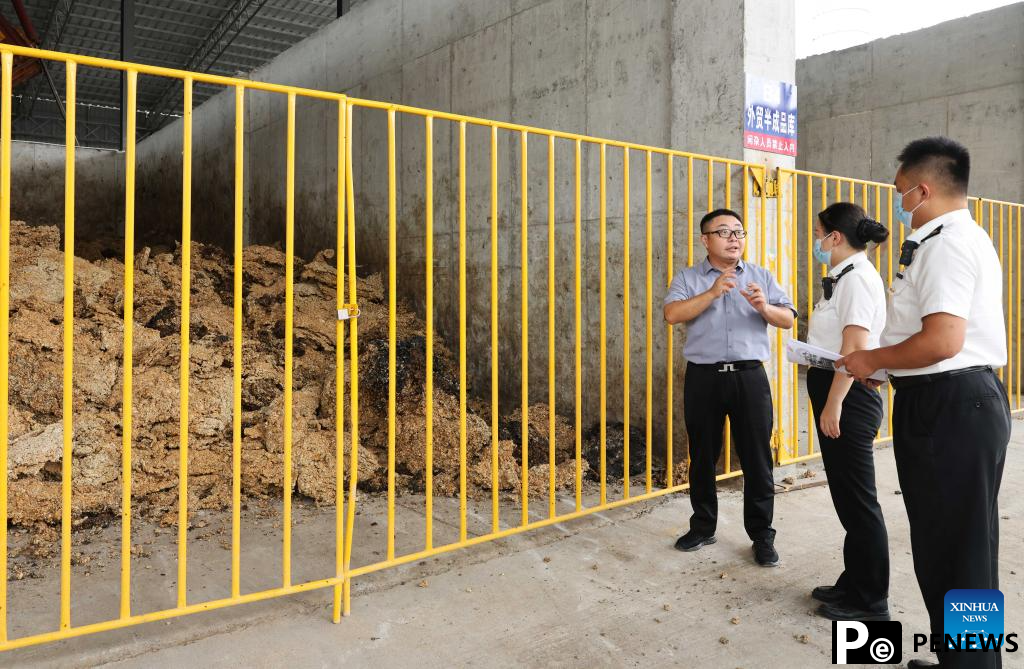 A glimpse of Hainan Free Trade Port