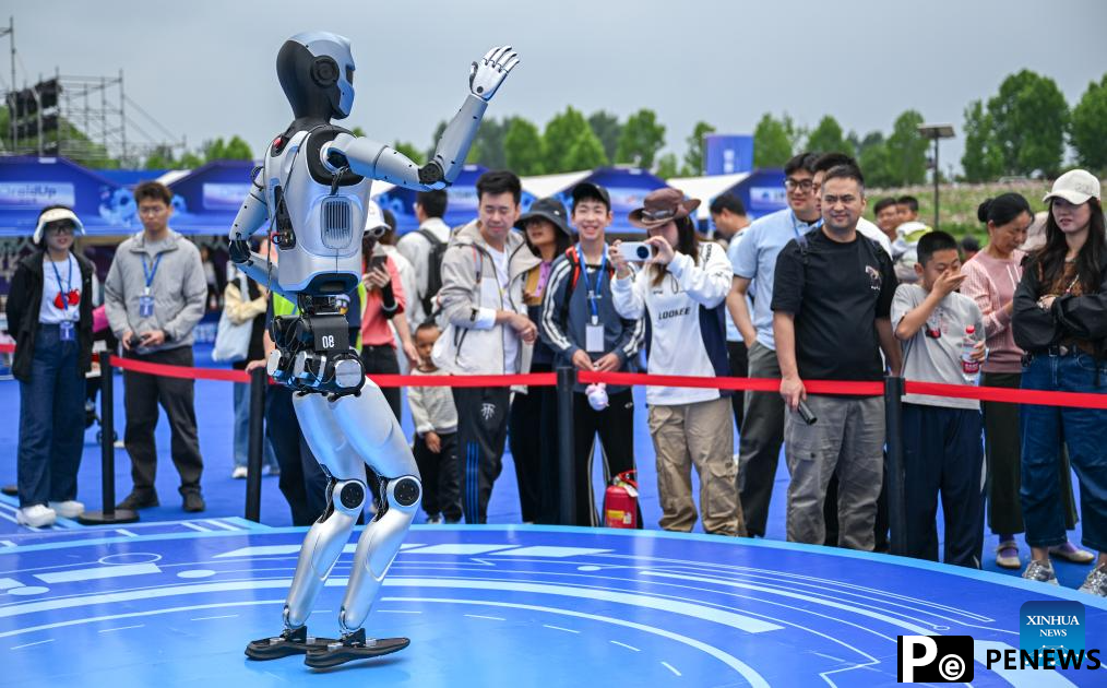 World robot carnival kicks off in Wuhan, China