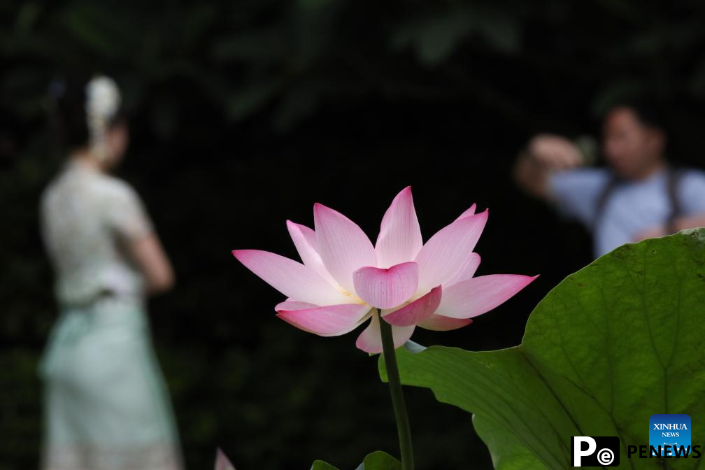 People enjoy 3-day holiday of Dragon Boat Festival across China