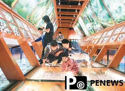 Museums emerge as major tourism destinations in Chinese cities