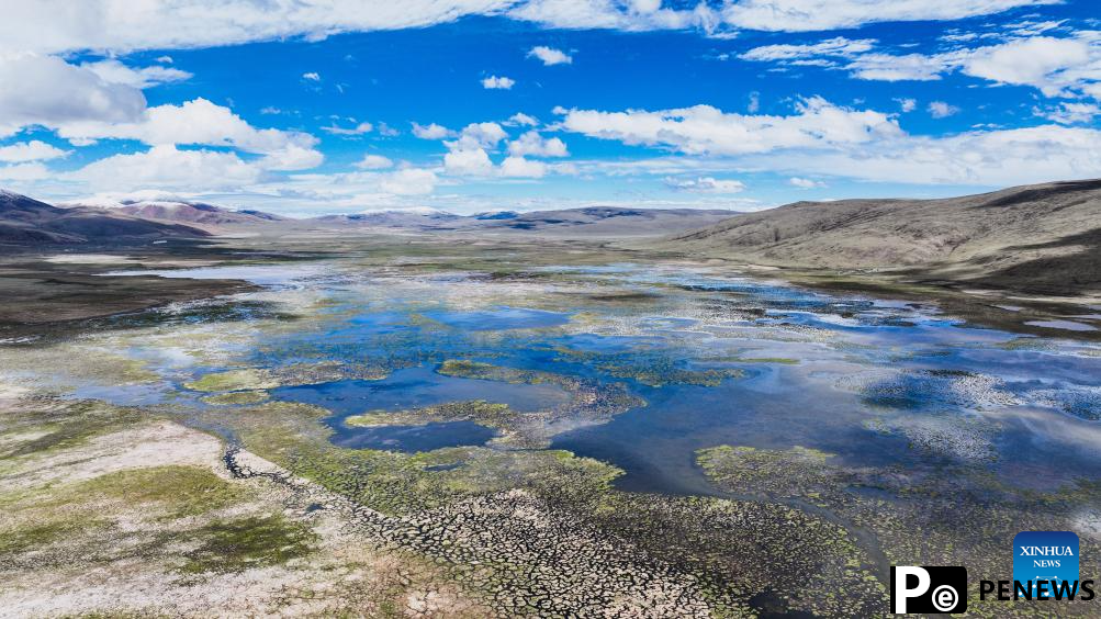 Scenery of Qinghai Longbao National Nature Reserve