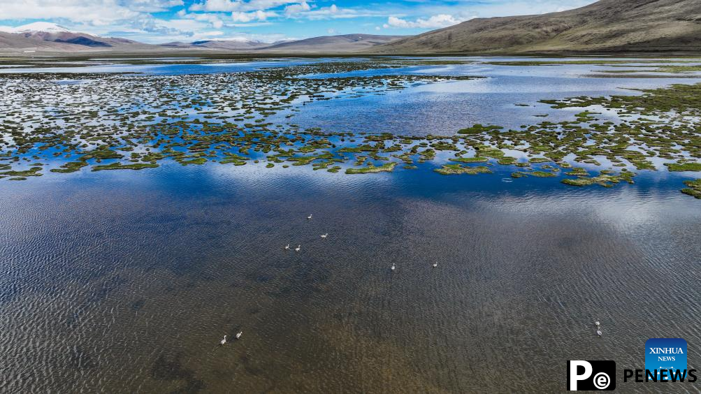 Scenery of Qinghai Longbao National Nature Reserve