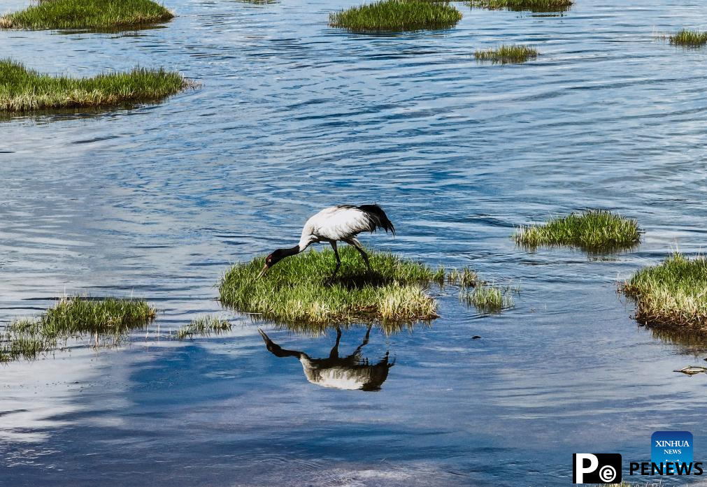Scenery of Qinghai Longbao National Nature Reserve