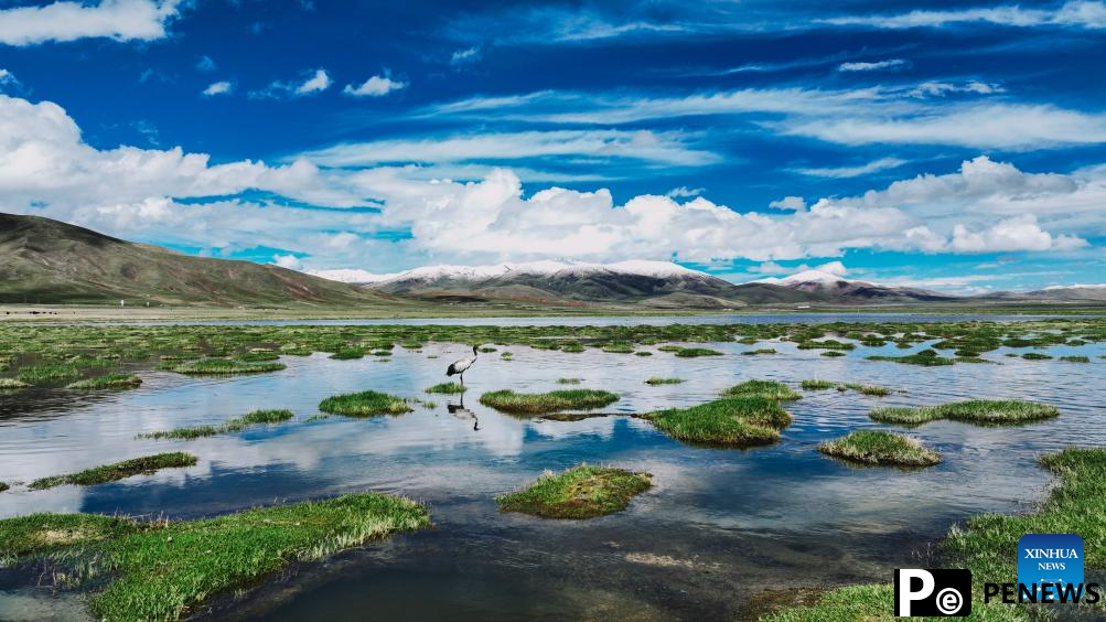Scenery of Qinghai Longbao National Nature Reserve