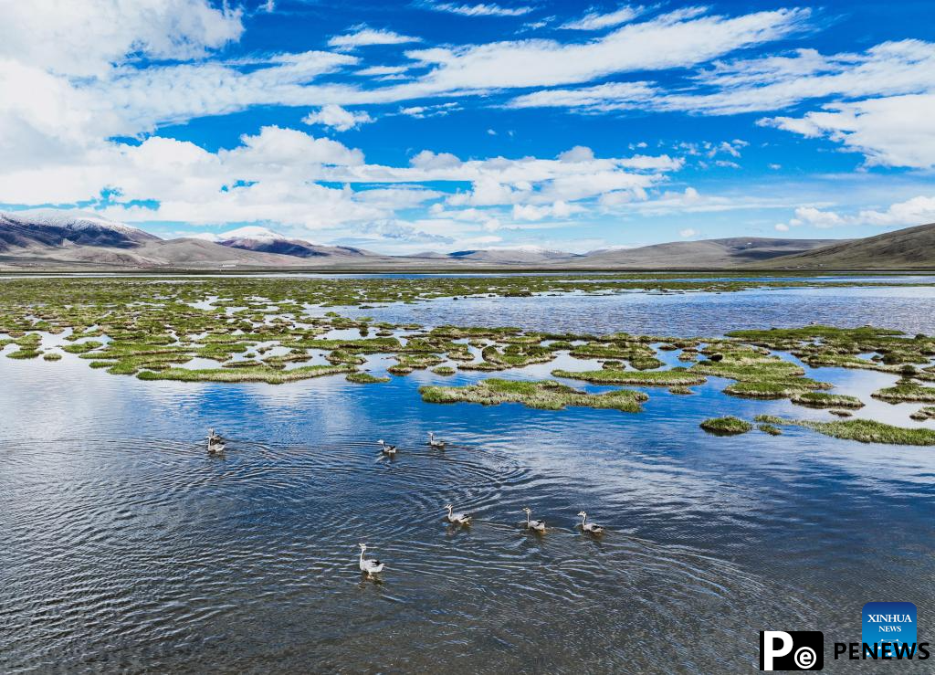 Scenery of Qinghai Longbao National Nature Reserve