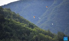 China deploys air sampling to detect crested ibises in environmental DNA, a breakthrough in monitoring rare species