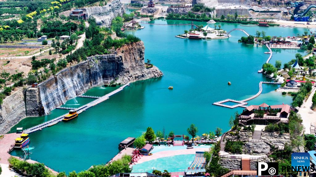 Years of rehabilitation turn wastelands into thriving ecosystems in E China's Shandong