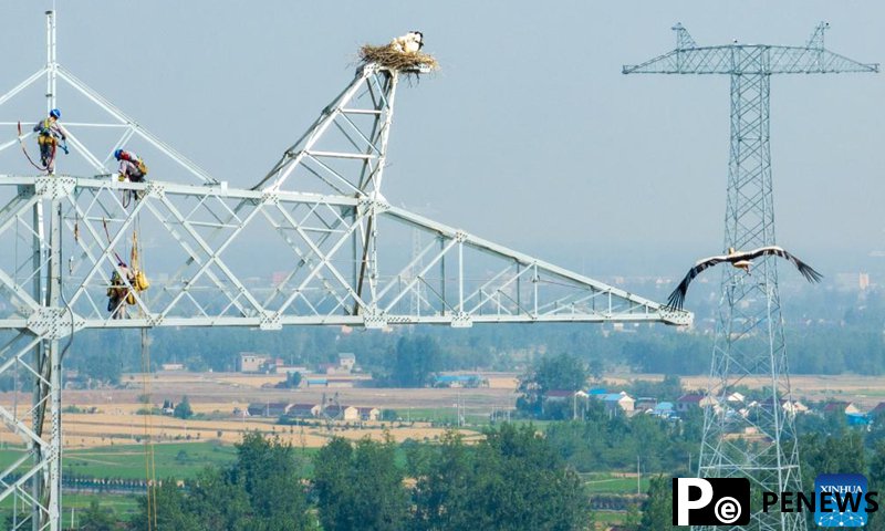 China unveils new plan to optimize electricity supply for private enterprises: official