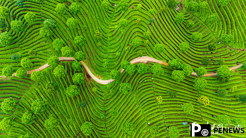 In pics: Aerial view reveals fingerprint