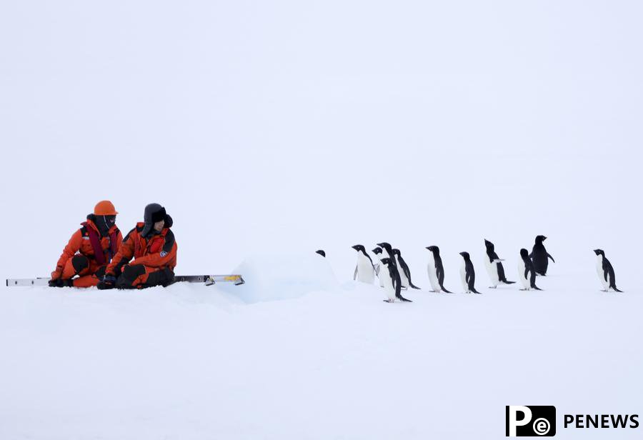 Findings of first autumn Antarctic expedition released