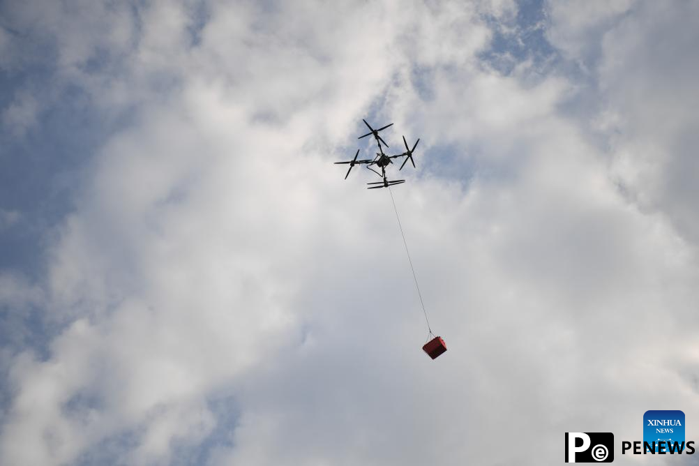 Staff members use drones to transport lychees in Maoming City, China