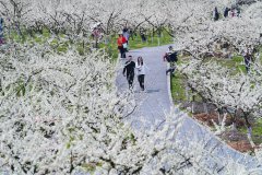 More rural residents are travelling and spending