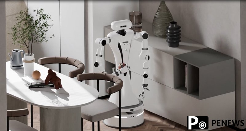 Robots attend virtual school in E China