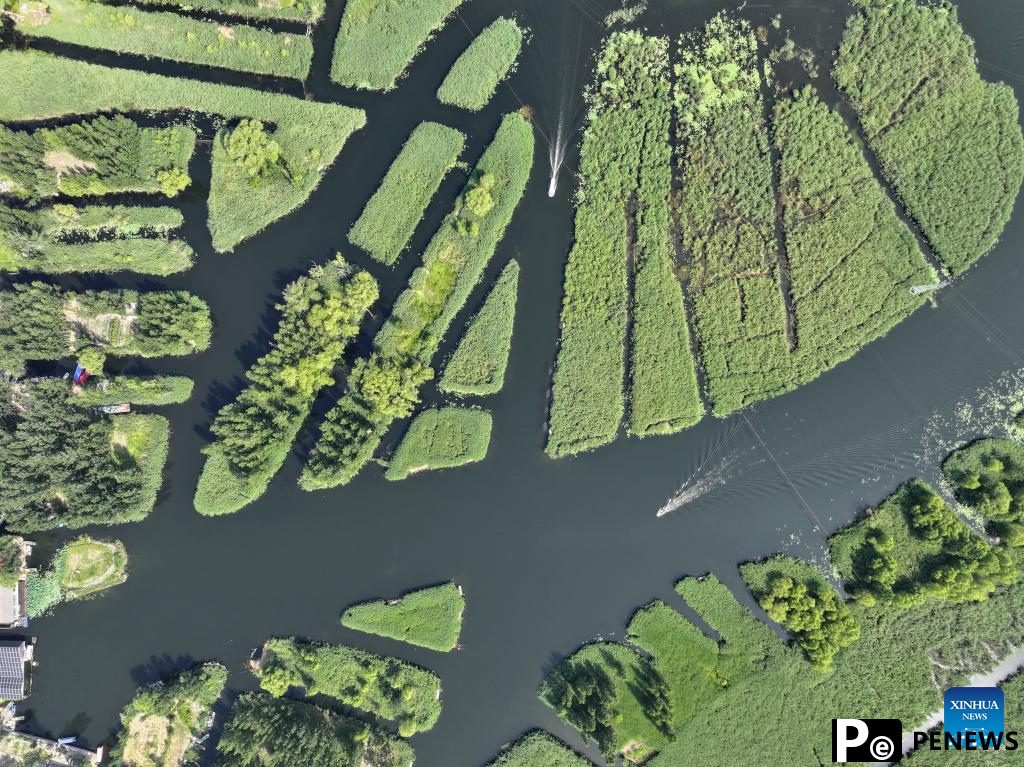 Scenery of Baiyangdian Lake, Xiongan New Area of China