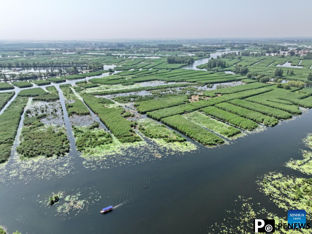 Scenery of Baiyangdian Lake, Xiongan New Area of China