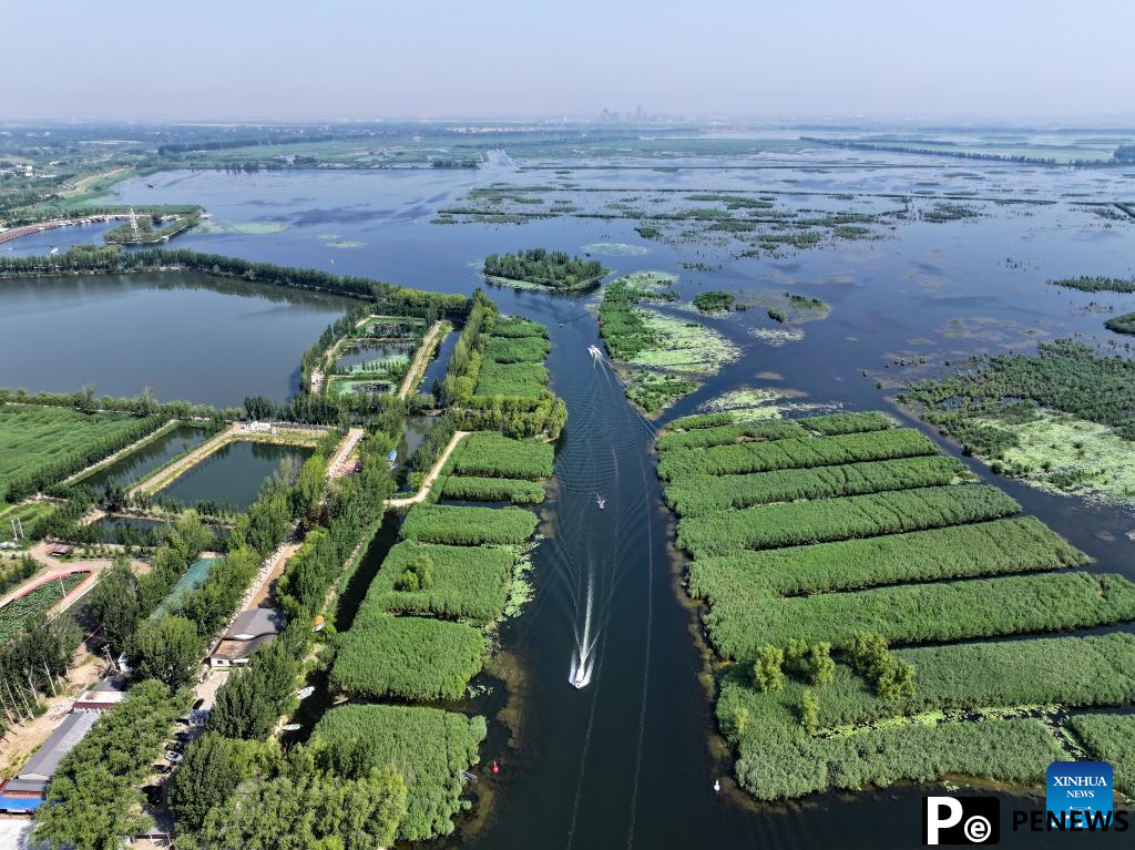 Scenery of Baiyangdian Lake, Xiongan New Area of China