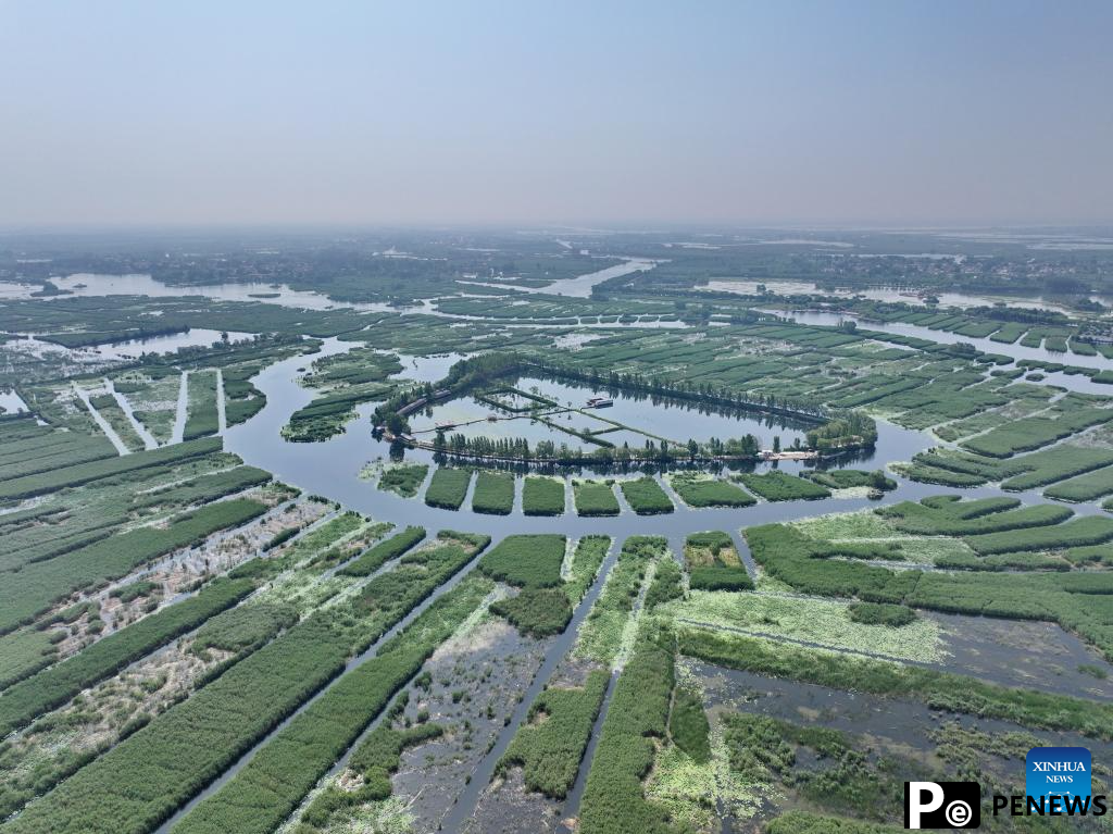 Scenery of Baiyangdian Lake, Xiongan New Area of China