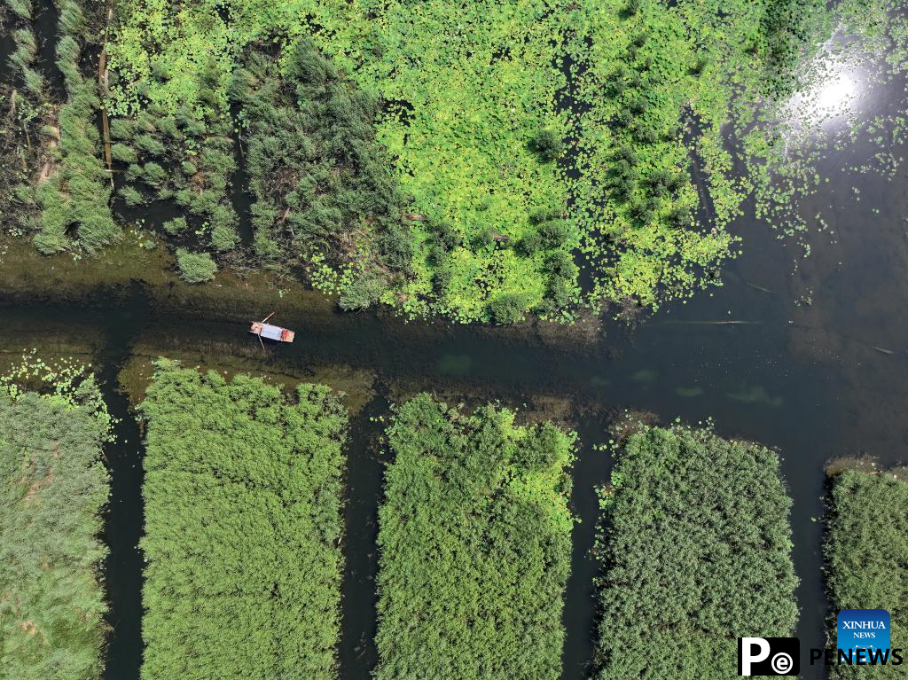 Scenery of Baiyangdian Lake, Xiongan New Area of China