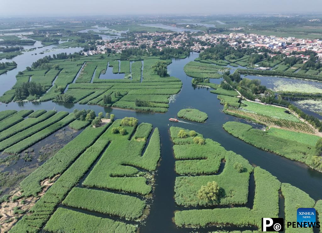 Scenery of Baiyangdian Lake, Xiongan New Area of China